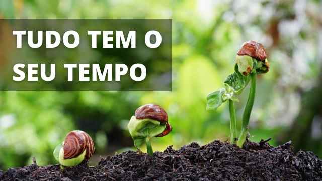 PACIÊNCIA, PERSISTÊNCIA E PERSEVERANÇA