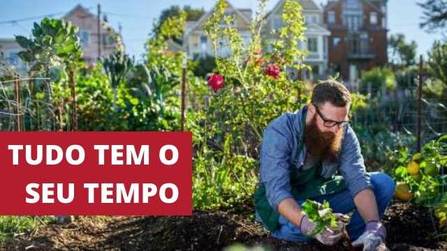 PACIÊNCIA PARA PROSPERAR