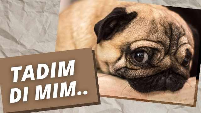 VOCÊ NÃO É UMA VÍTIMA