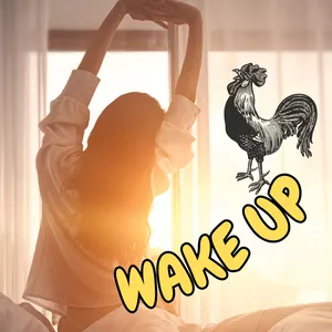 Wake up - Acordando disposto e motivado
